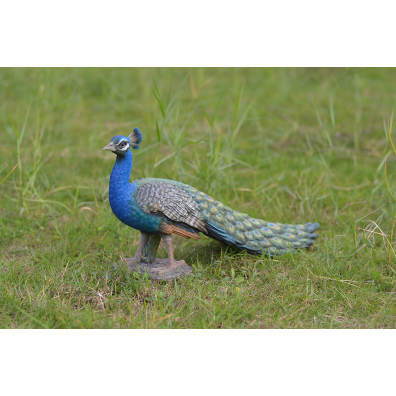 Peacock Bird Statue-Small