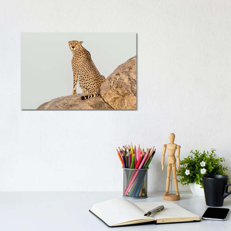 Africa, Tanzania, Serengeti National Park by Jaynes Gallery - Wrapped Canvas Print, 20.32cm H x 30.48cm W x 1.905cm D