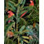 Tropical Wanderlust Floral Wallpaper Roll-62105151