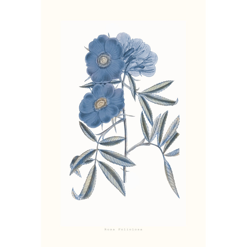 Bouquet Blue 2 Print by Studio L57 Nouvelle, 29.75" H x 21.75" W