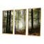 «Light In Dense Fall Forest With Fog», ensemble d'art mural sur toile encadré paysage-920003488-920003548