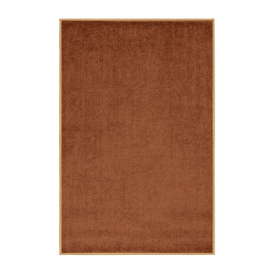 Machine Washable Solid Brown Area Rug