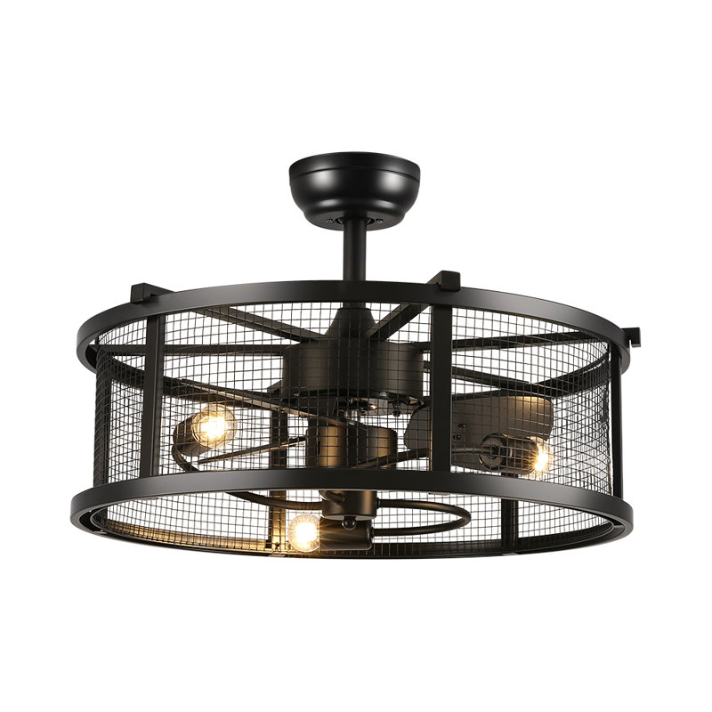 Ceiling Fan
