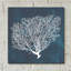 «Inverse Sea Fan II» par Grace Popp - peinture sans cadre-1608666209