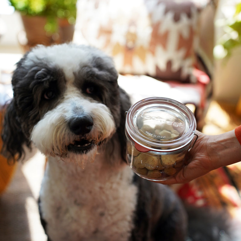 Lock-Eat Food Jar (1 Piece), 4.1" H x 4.75" W x 4.75" D