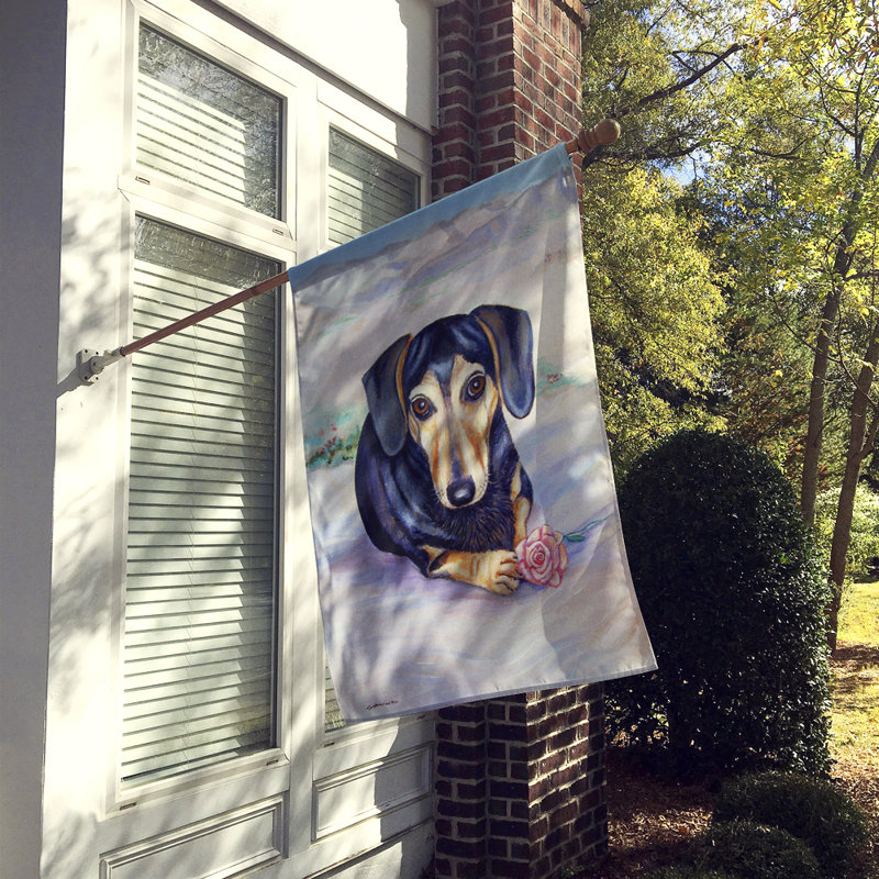 40 x 28 po en polyester noir et crème teckel 2 côtés. drapeau maison