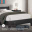 Lit plateforme double Socalle-123382769-123382768