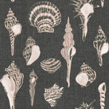 Sullivan’s Island Shells Serene Sky Wallpaper by Megan Molten