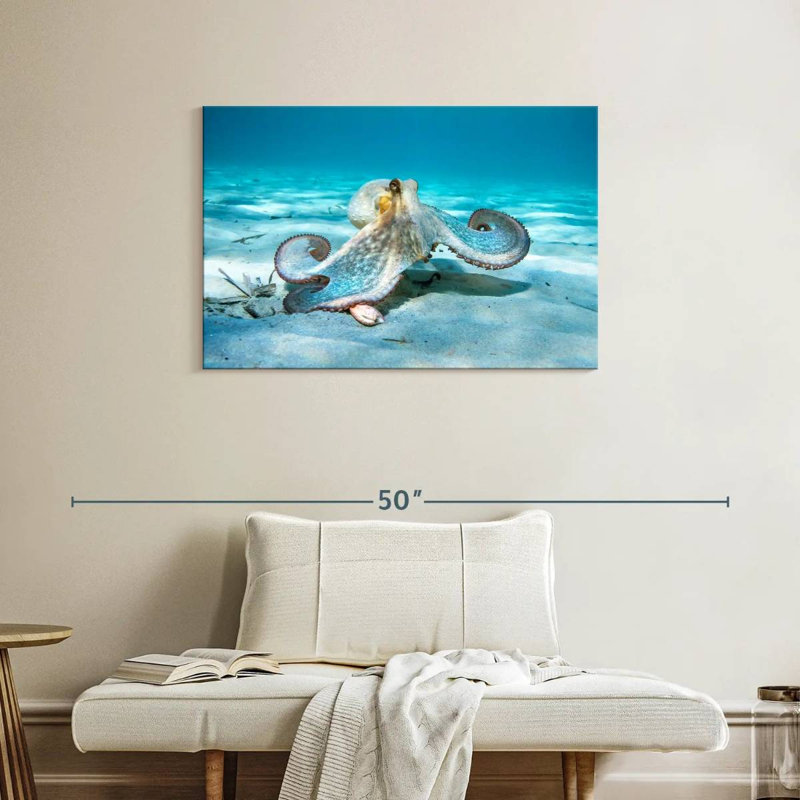 Crowle Roaming Octopus, 24" H x 36" W