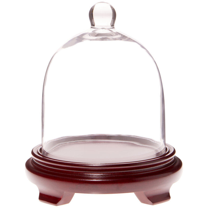 Cloche à dôme en verre 6 "x 7", Base en placage de bois rouge