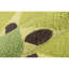 Tapis de cuisine kiwi Cucina