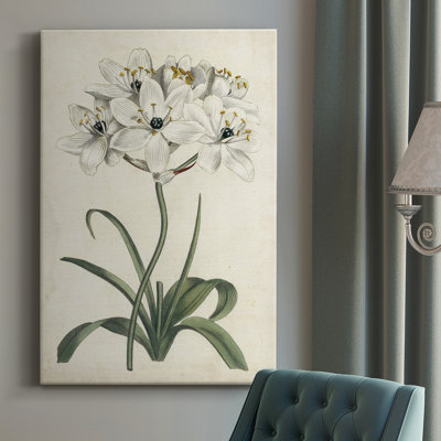 «Garden V», impression sur toile tendue