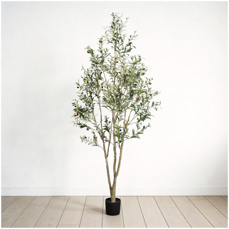 7' Artificial Olive Tree in Black Plastic Pot, 1pc/set