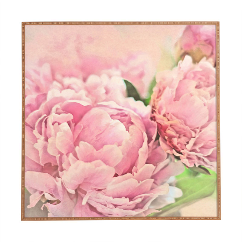 « pivoines », reproduction de photo encadrée