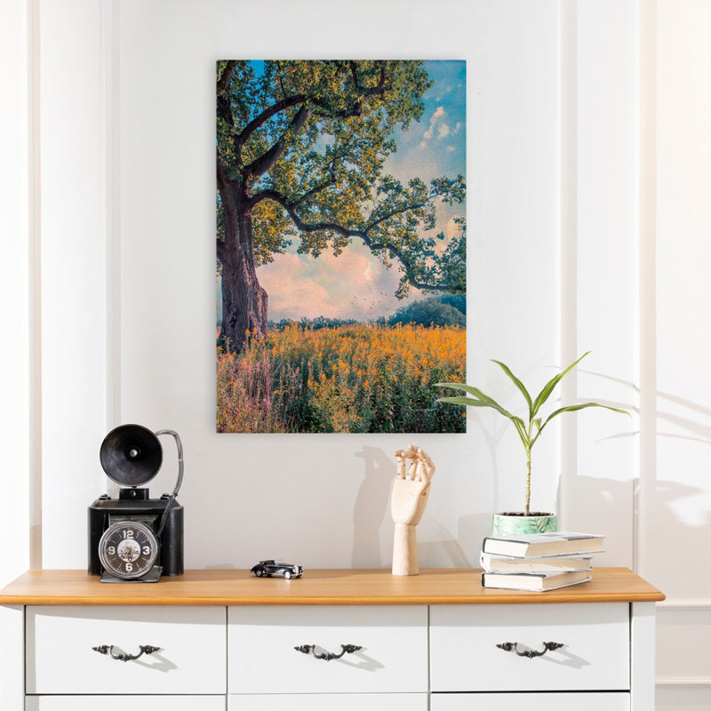 Where I Daydream - Paysages, photographie, arbres, art, H 24 po x l 16 po