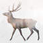 Deer and Forest - Trees