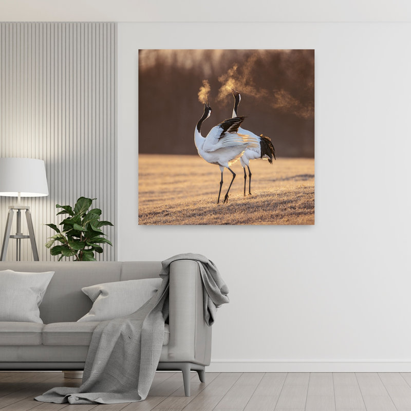Cranes Golden Breath Elegant Peaceful Serene Bird Nature Wildlife, impression d'art mural, 48" H x 48" W