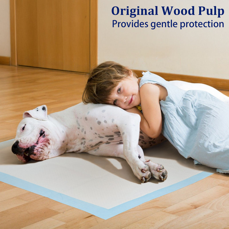 Tapis d'apprentissage extra large pour chiots, 119 x 79 cm, paquet de 20.