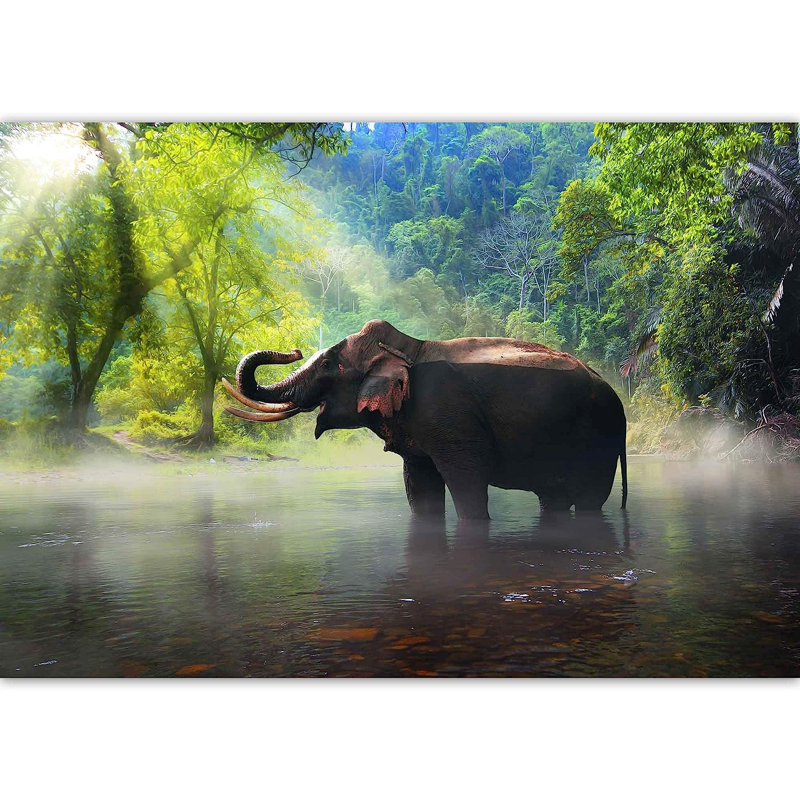 Éléphant dans l'eau, peinture murale, L 100 po x l 144 po