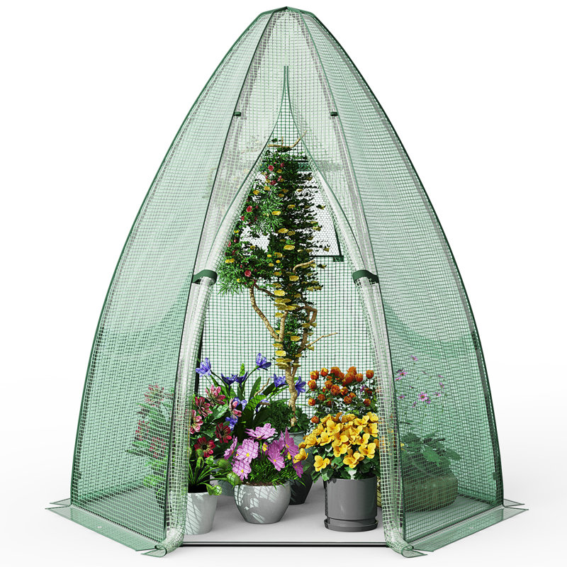 Serre hexagonale avec porte et fenêtre enroulable l 63 po x P 63 po