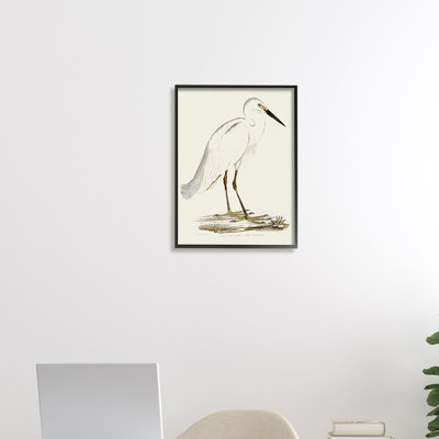 Illustration rétro d'une aigrette dans un marais