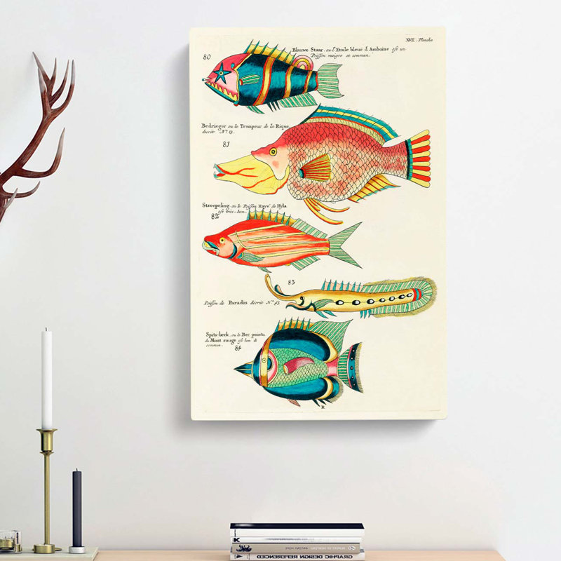 East Indies Fish Illustrations XVII by Louis Renard - Wrapped Canvas, 50cm H x 35cm W x 3cm D