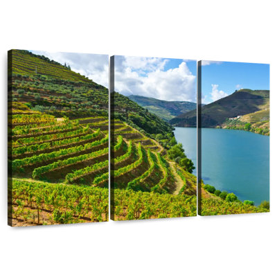 Alvord Douro Grapevine Valley