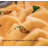 Dog Blankets-99191151