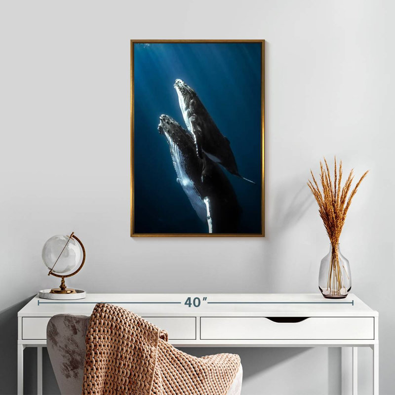 Baleine à bosse et son veau, Cadre flottant doré, 17 po x 25 po