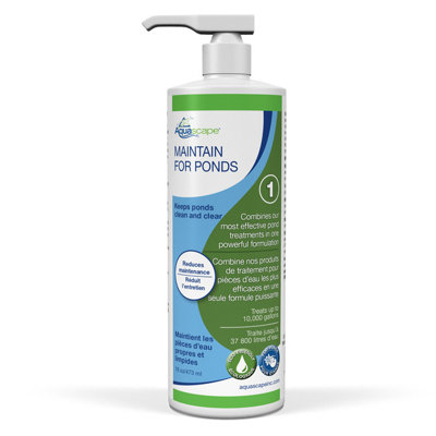 Maintain for Ponds Algues Control