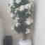 Photos des clients 2 de 2