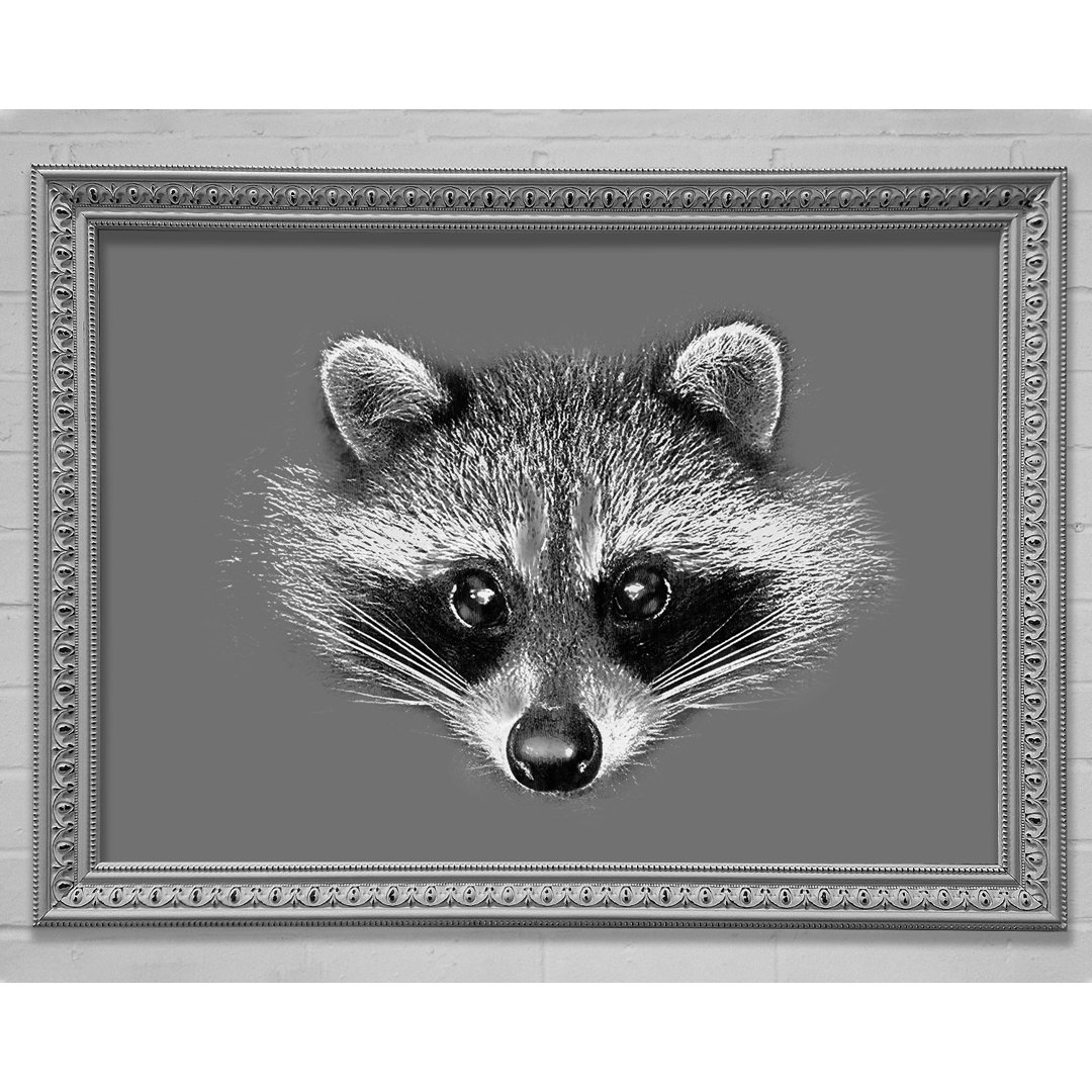 Raccoon On Gunmetal - Einzelner Bilderrahmen Kunstdrucke