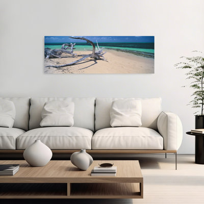 Bois flottant sur la plage, île verte, grande barrière de corail, Queensland, Australie, art contemporain tranquille, plage contemporaine