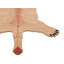 Kuster Novelty 100 cm x 160 cm Wool Hand Woven Area Rug