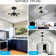 Agle Glass LED Semi Flush Mount
