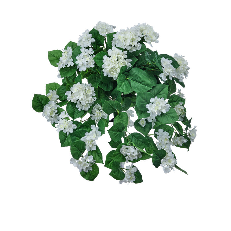 Hortensia suspendu 27 "UV, Blanc