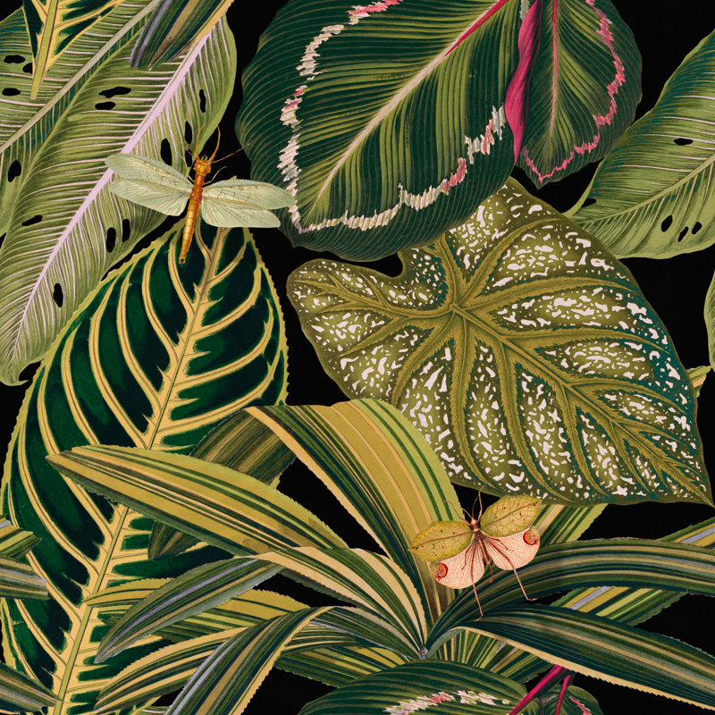 AMAZONIA Linen