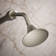 Forte® Wall-Mount Single-Function Showerhead with 66-Nozle 5.5 Inch Sprayface, 2.5 GPM