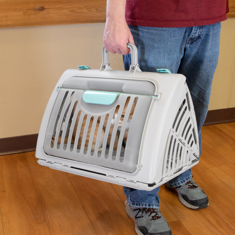 Small Gray Plastic Pet Carrier with Waterproof Bed