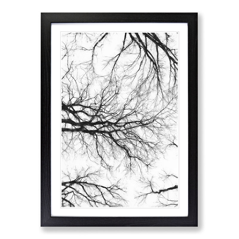 Tree Branches in Central Park New York - Picture Frame Painting Print, 45cm H x 33cm W x 2cm D, Black Framed