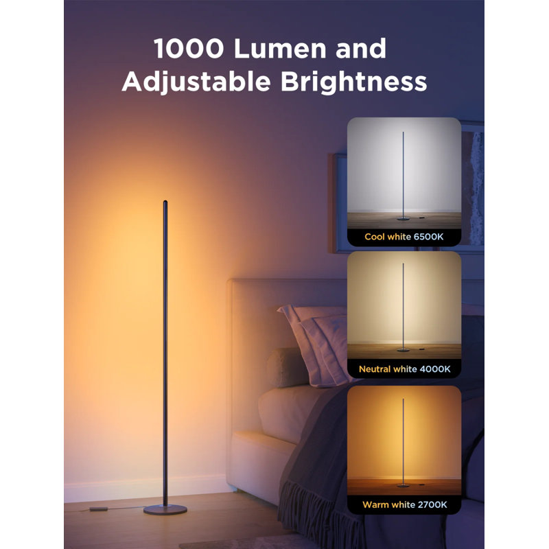  RGBICW Smart Floor Lamp Basic