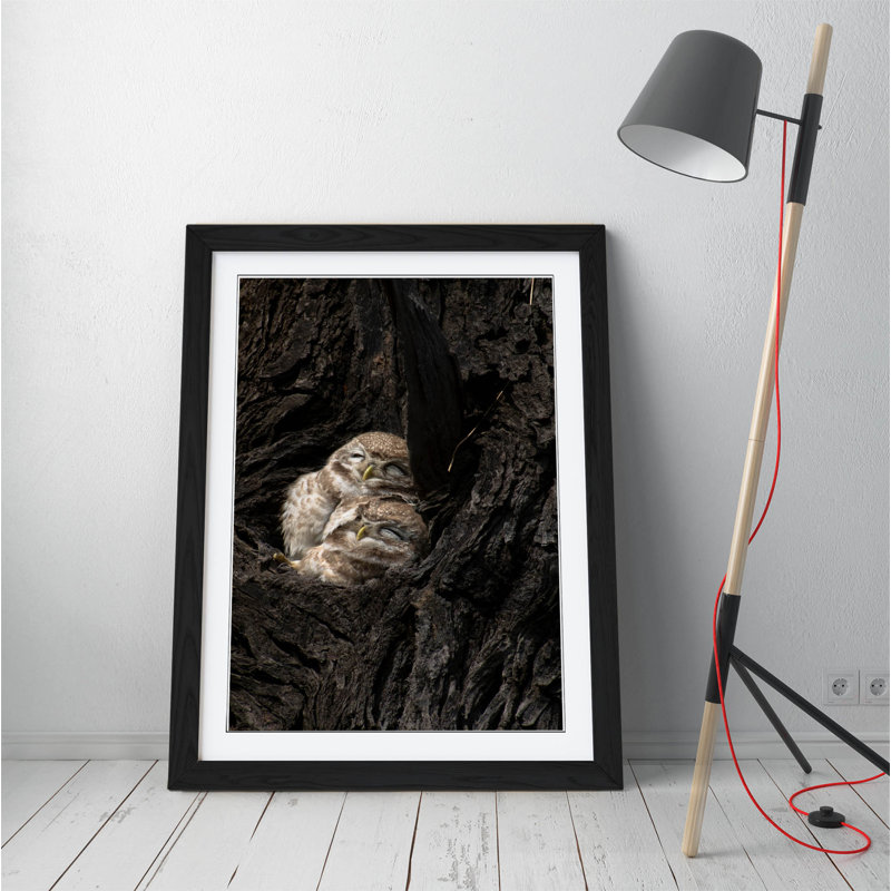 Single Picture Frame Print, Black, 47 cm H x 35 cm W