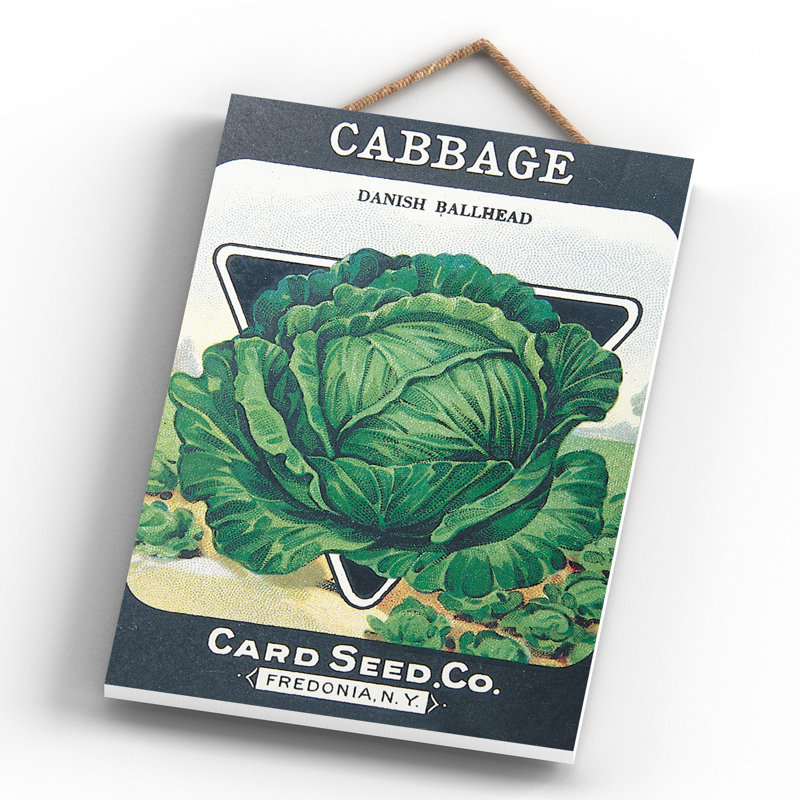 Card Seed Co Cabbage Vintage Retro Poster Design On Wooden Plaque