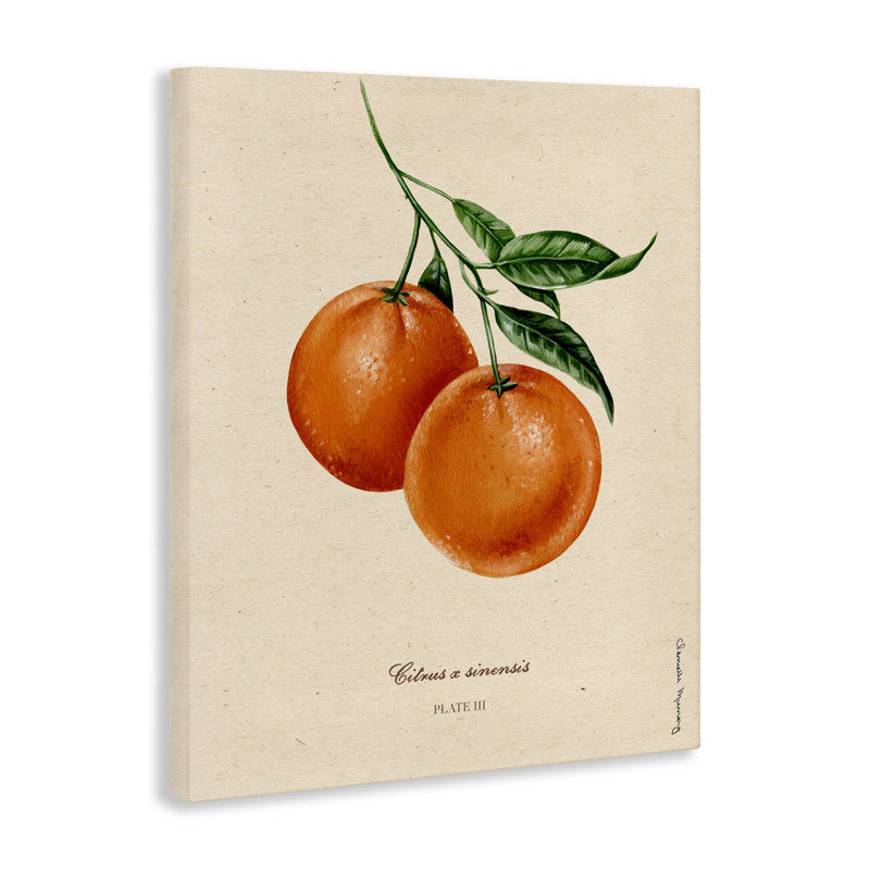 «Orange Fruit Portrait Canvas», conception par Danielle Murray, H 20 po x l 16 po