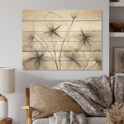 «Black Glory Morning Glory Speed» en noir et blanc, art sur bois de pin naturel