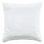 Beatrice Linen Square Pillow Cover & Insert