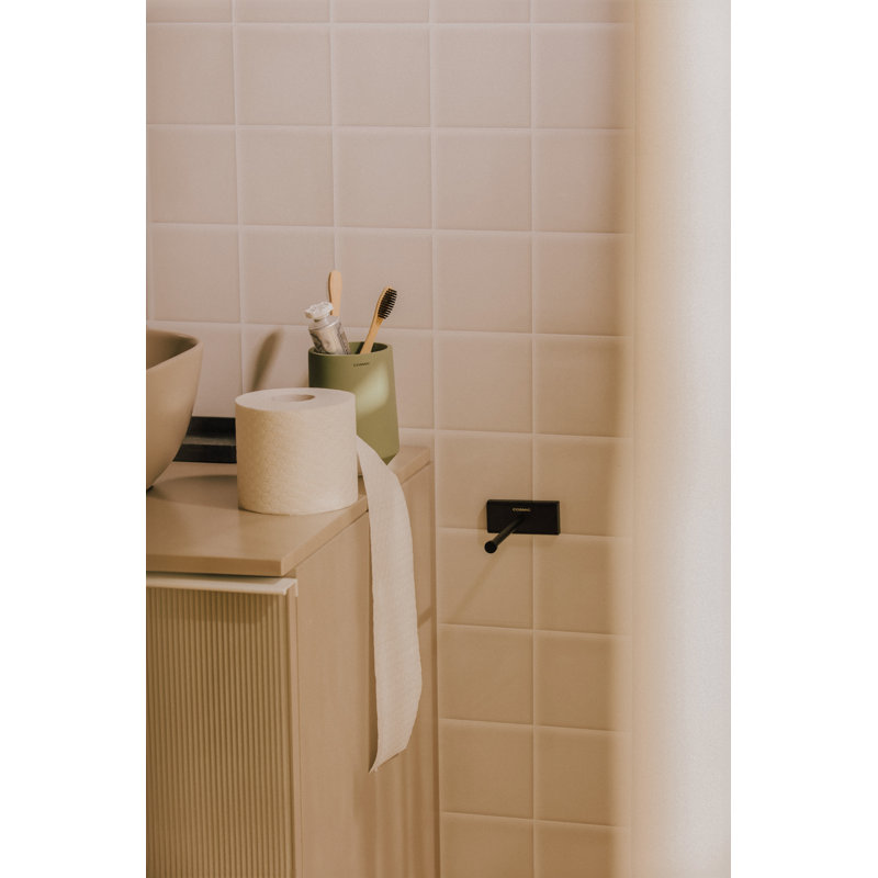 Ashlen Wall Mounted Toilet Paper Holder, Chrome