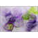 Premium Machine Washable Cerrito AMF513 Purple Rug