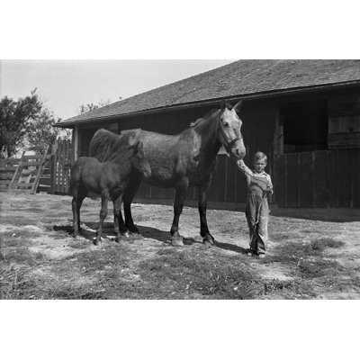 Farm Boy with Mare by Nnehring