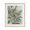Pastel Paradise Leaves, reproduction encadrée sous verre, design par June Erica Vess